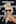 <b>2009</b><p>Search YouTube and you’ll find hundreds of videos of how to recreate Gaga’s famous hair bow.  Her washed-out pink lip hue is reminiscent of a time we’d rather forget — when women the world over sported an unnatural shade of sickly pink.<p><b>Where?</b> The Nokia 5800 launch party at Punk Soho in London. <p>Photo / Getty Images