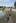 Walking near the banks of the Avon River on New Brighton Road. Photo / 	NZPA/Pam Johnson