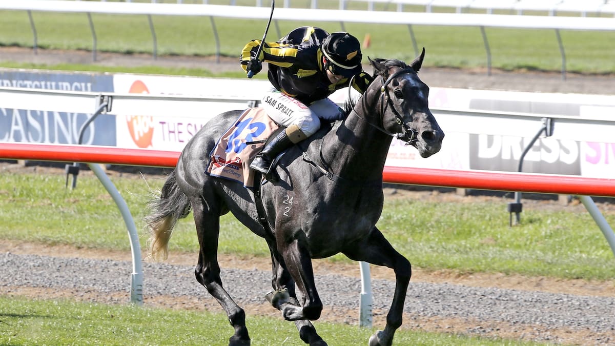 Racing: Spratt cooking in Coupland's Mile - NZ Herald