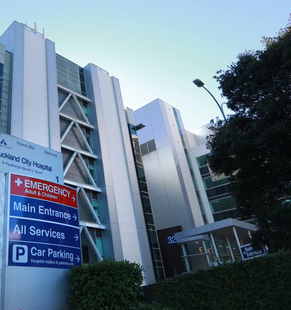 Prostitutes in Auckland SEX AGENCY in Auckland