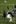 United States' Jay DeMerit, center top, collides with England's Steven Gerrard, center bottom, during the World Cup group C soccer match between England and the United States. Photo / AP