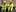 Chemical, biological and radiology team members in protective suits at Trentham Army Camp. Photo / Mark Mitchell