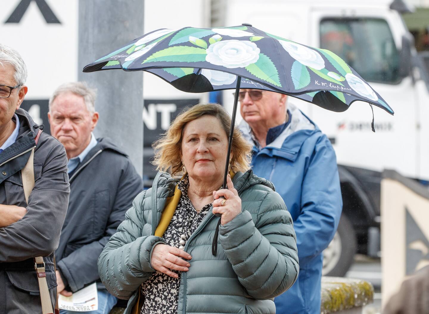 Coucillor Diane Calvert says she hasn't decided yet, but is rumoured to be planning a campaign. Photo / Mark Mitchell