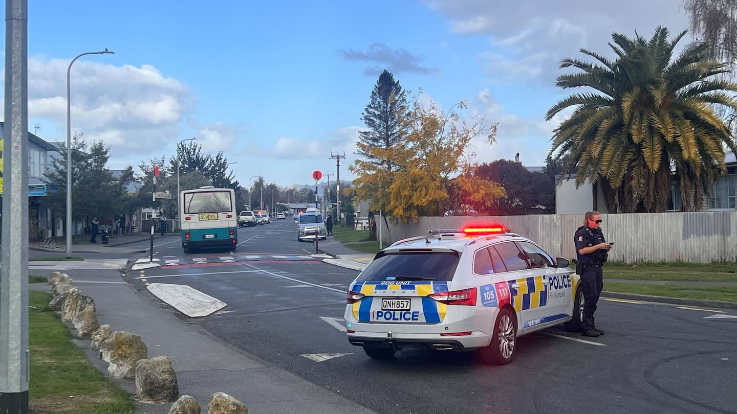 A large police presence can be seen on Kiwi St, in Hastings, following an incident on Thursday about 3pm. There is no indication the school bus in the photo is a part of the incident. Photo / Rafaella Melo