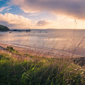 featured-image