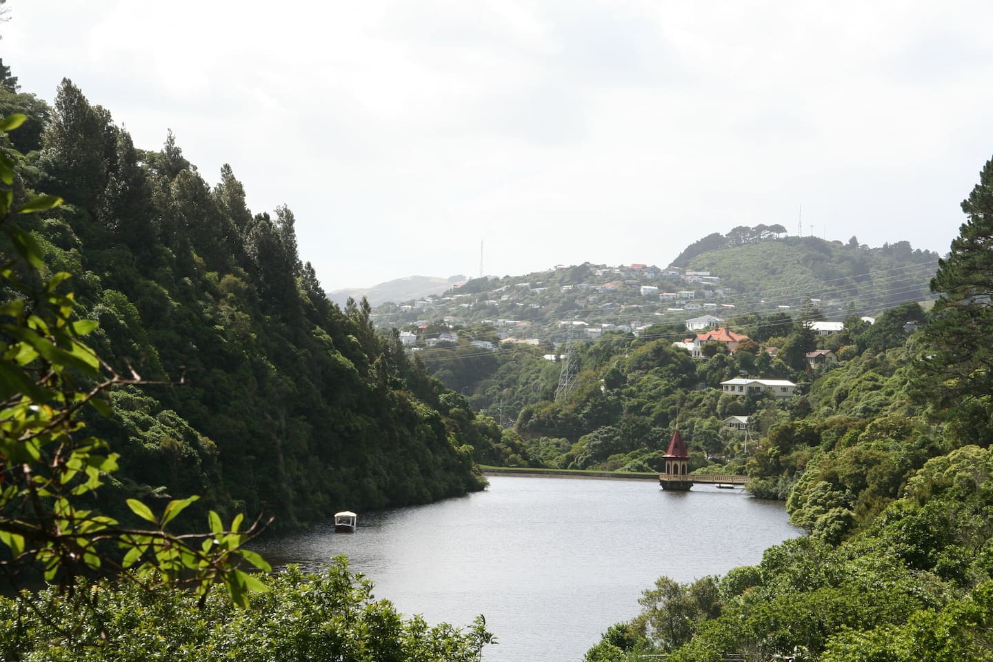 Urban oasis: The Lower dam lake at Wellington's Zealandia. Photo / File