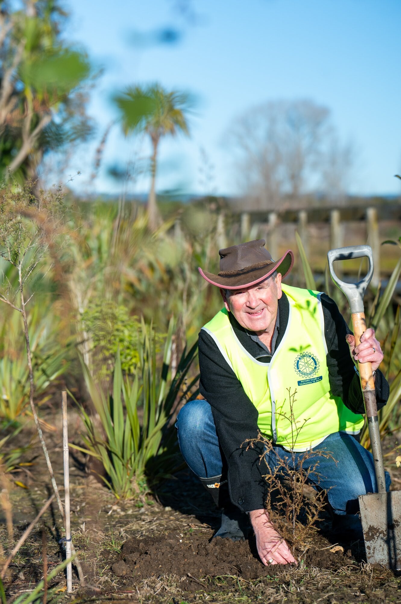  Tauranga Rotary Centennial Trust board chair Lyall Holmes planting a native tree in Kōpūrererua Valley. Photo / Brydie Thompson.