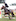 William Willis on Dollar Roll MS - Second round, Olympic Cup, Land Rover Premier Arena, Horse of the Year, HOY, Hawke's Bay Showgrounds, Hastings.