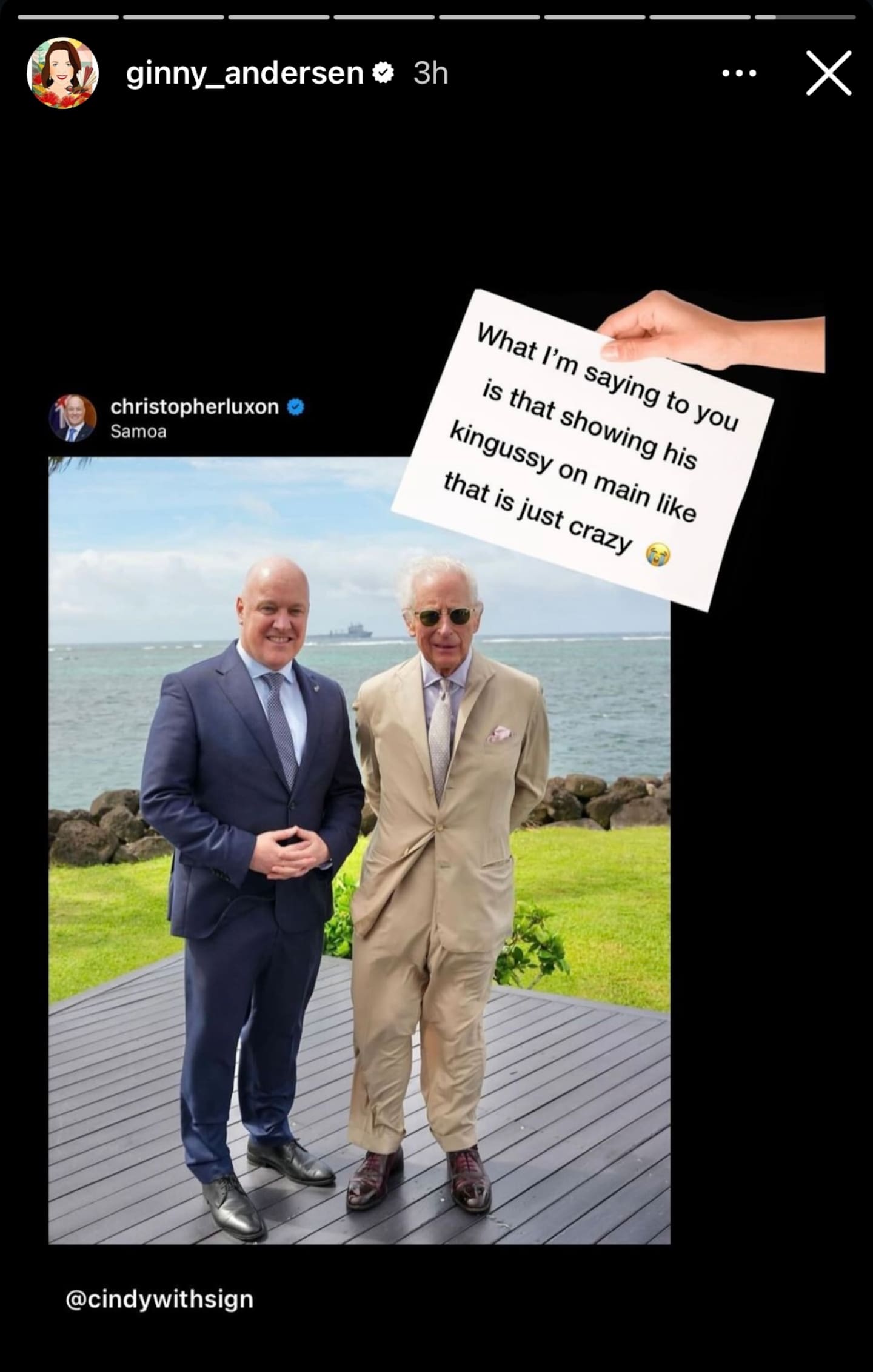 Former Labour Minister and list MP Ginny Andersen reshared the meme on her personal Instagram. Photo / @ginny_andersen