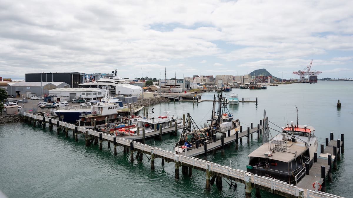 Marine precinct sale stopped after interim injunction granted Marine precinct sale stopped after interim injunction granted