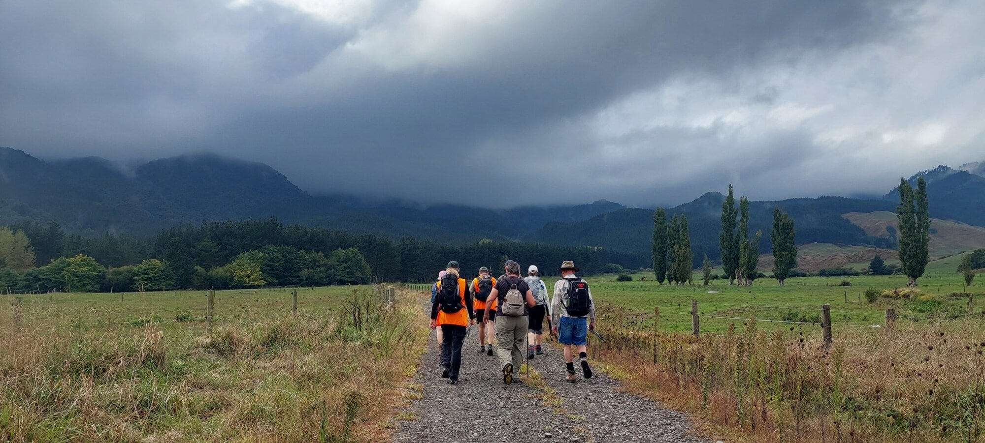  Tuahu Track walk follows along the Waihou Valley Pine Forest.