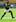 Renfred Dazel of South Africa runs the ball during the match between South Africa and Scotland. Photo / Getty Images