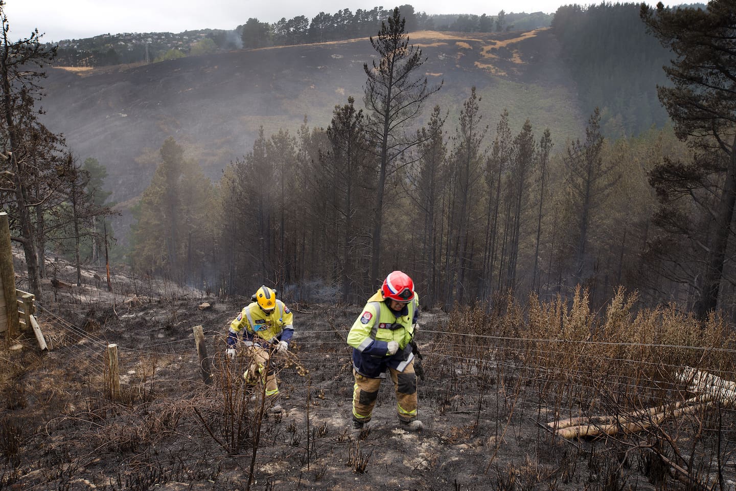Firefighters dampening down hotspots from the bushfires that blazed through the Port Hills overlooking Christchurch in February 2017. Photo / Alan Gibson.