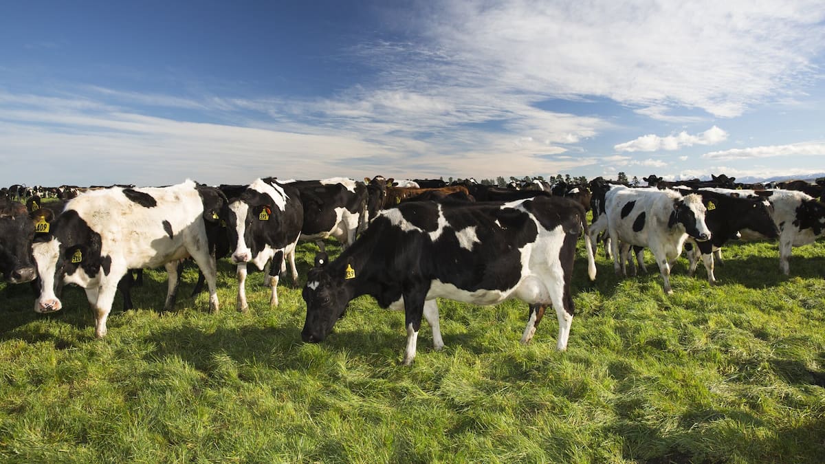 Gene Technology Bill Sparks Concern Among Top Exporters in Australia