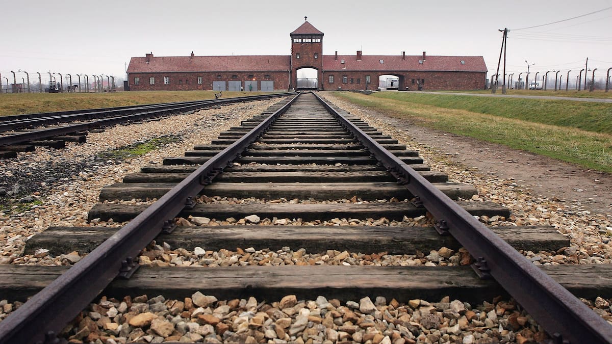 World marks 80th anniversary of Auschwitz liberation with survivors World marks 80th anniversary of Auschwitz liberation with survivors