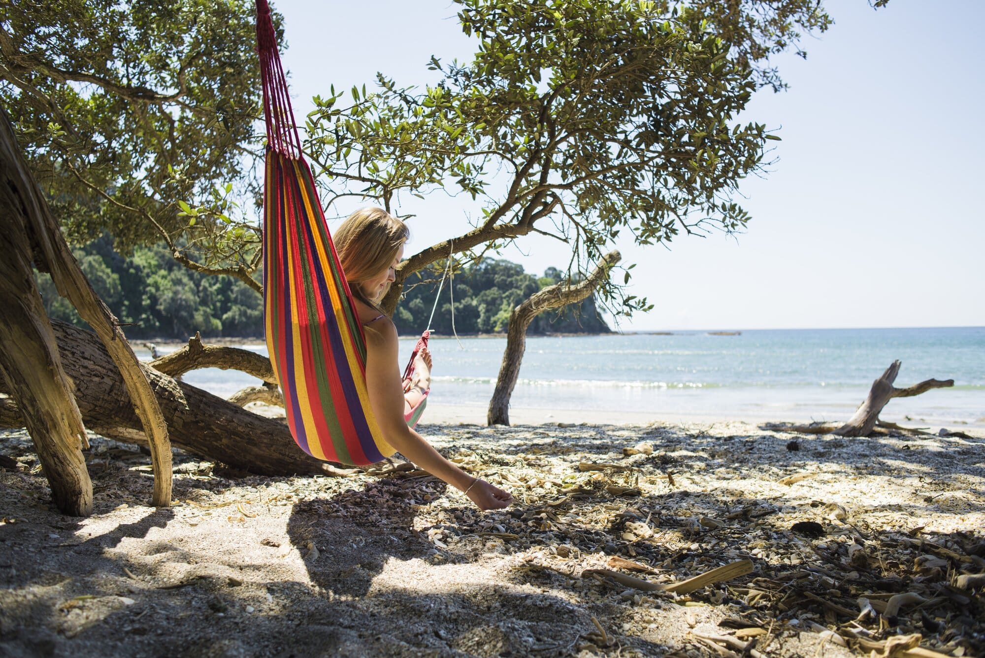 NZ Best Beach 2026 : Top 50 finalists revealed – here how to vote for the winners