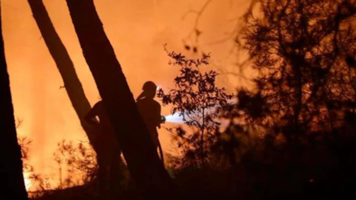 Wildfires rage across Turkey, threaten sacred Anzac Cove Wildfires rage across Turkey, threaten sacred Anzac Cove