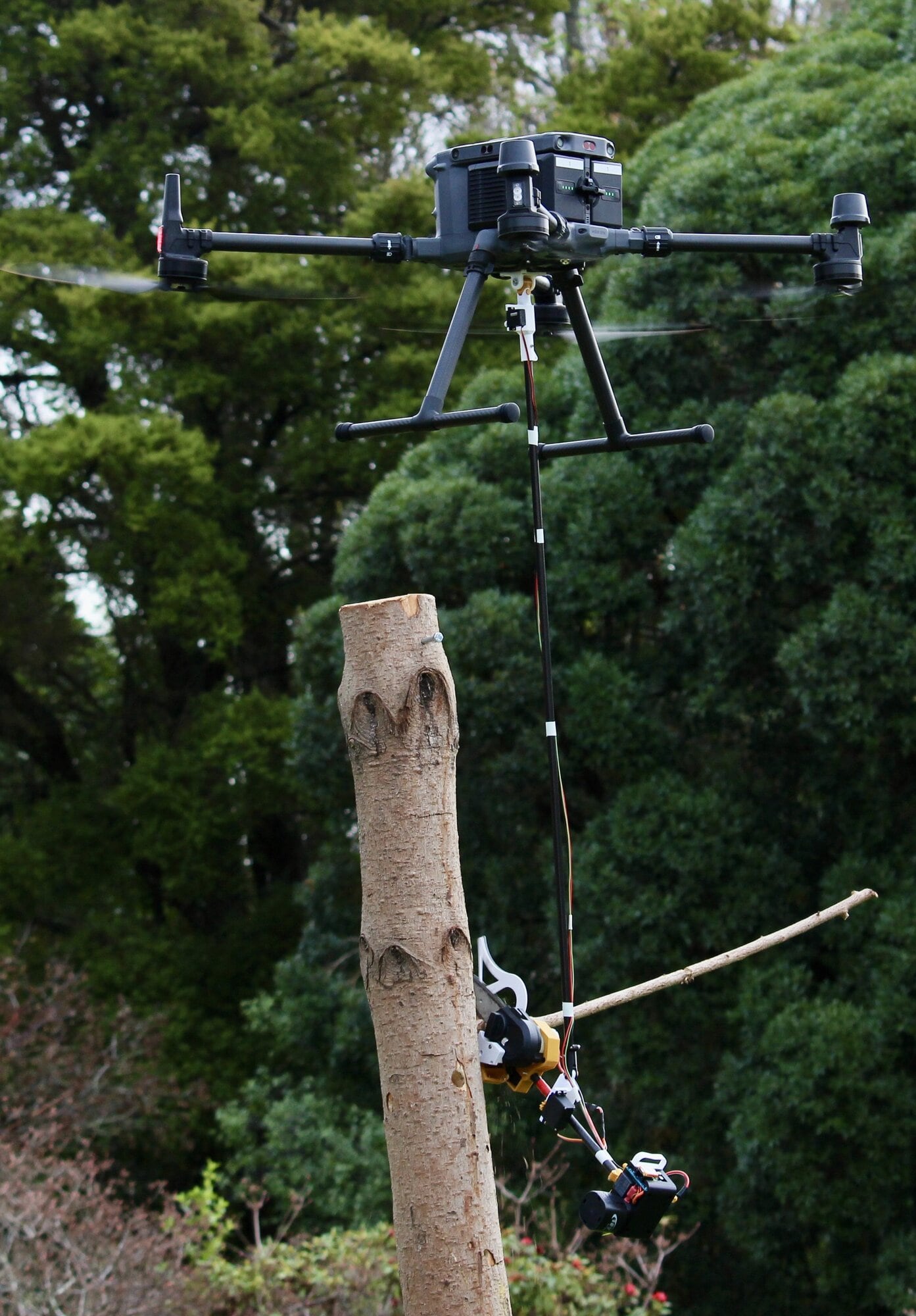 A chainsaw drone at work using AI software to cut small branches off trees. Photo / Sacha Skinner, University of Canterbury