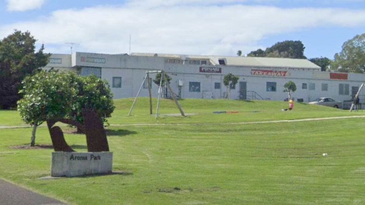 Police following ‘several lines of inquiry’ after child sexually assaulted near Auckland park Police following ‘several lines of inquiry’ after child sexually assaulted near Auckland park