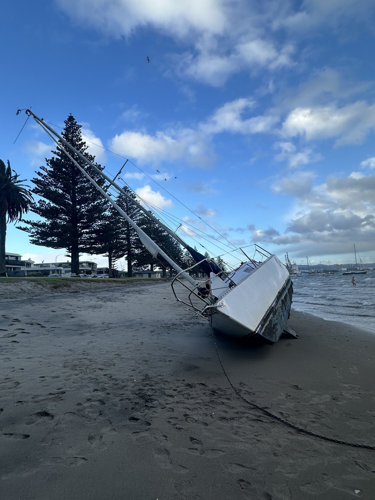  The yacht 'Orinoco' has grounded in Pilot Bay. Photo / Claire Rogers