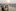 Gazan youths gather on a rise above the many tents for the displaced stretching along the Mediterranean in Gaza City. Photo / Saher Alghorra, The New York Times