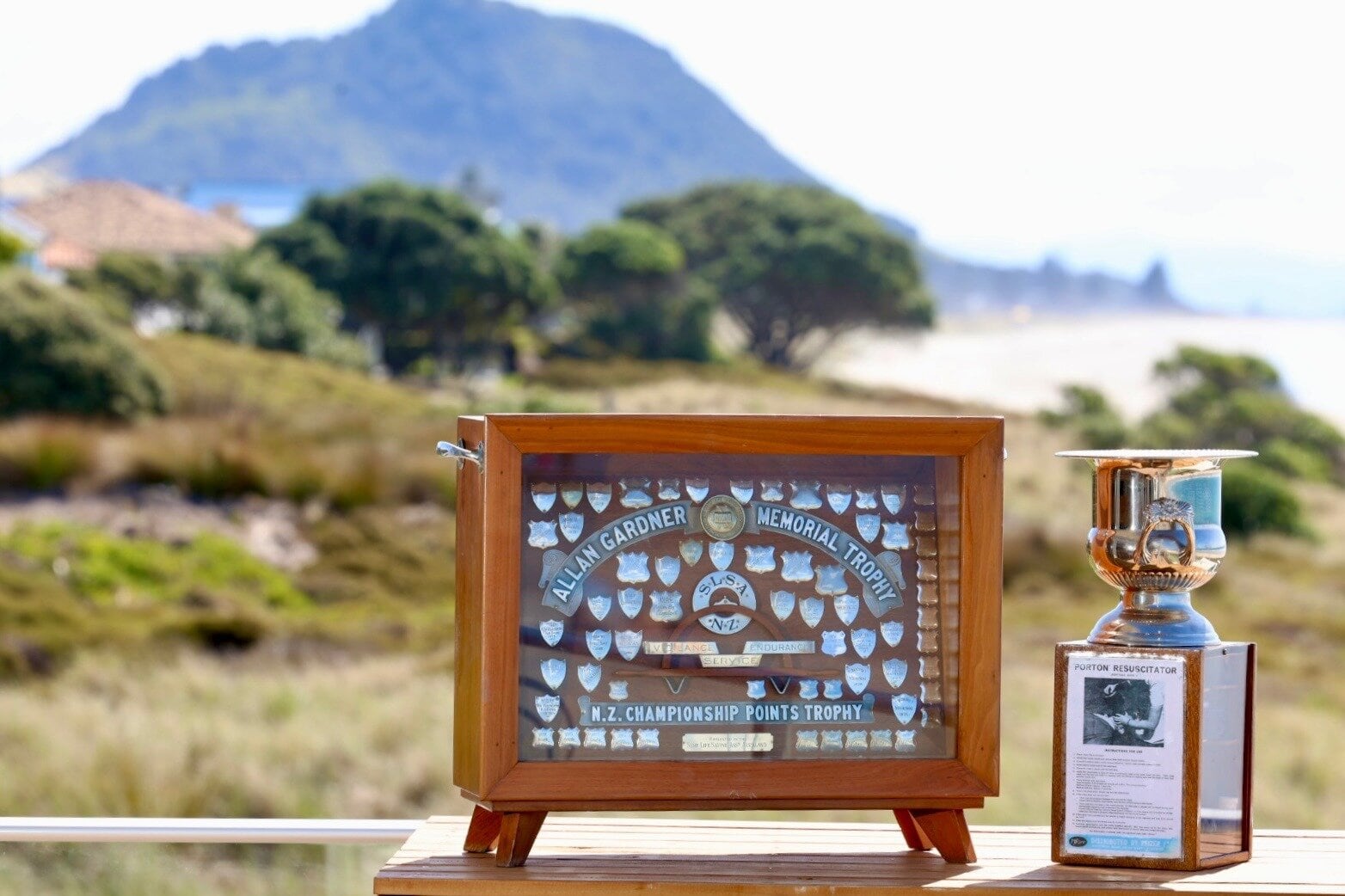 The Alan Gardner Trophy with Mauao in the background.