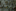 Weapons confiscated from inmates in Auckland Prison. Photo / NZ Herald