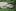 An alligator enjoys the sun at Auckland Zoo. Photo / The Aucklander
