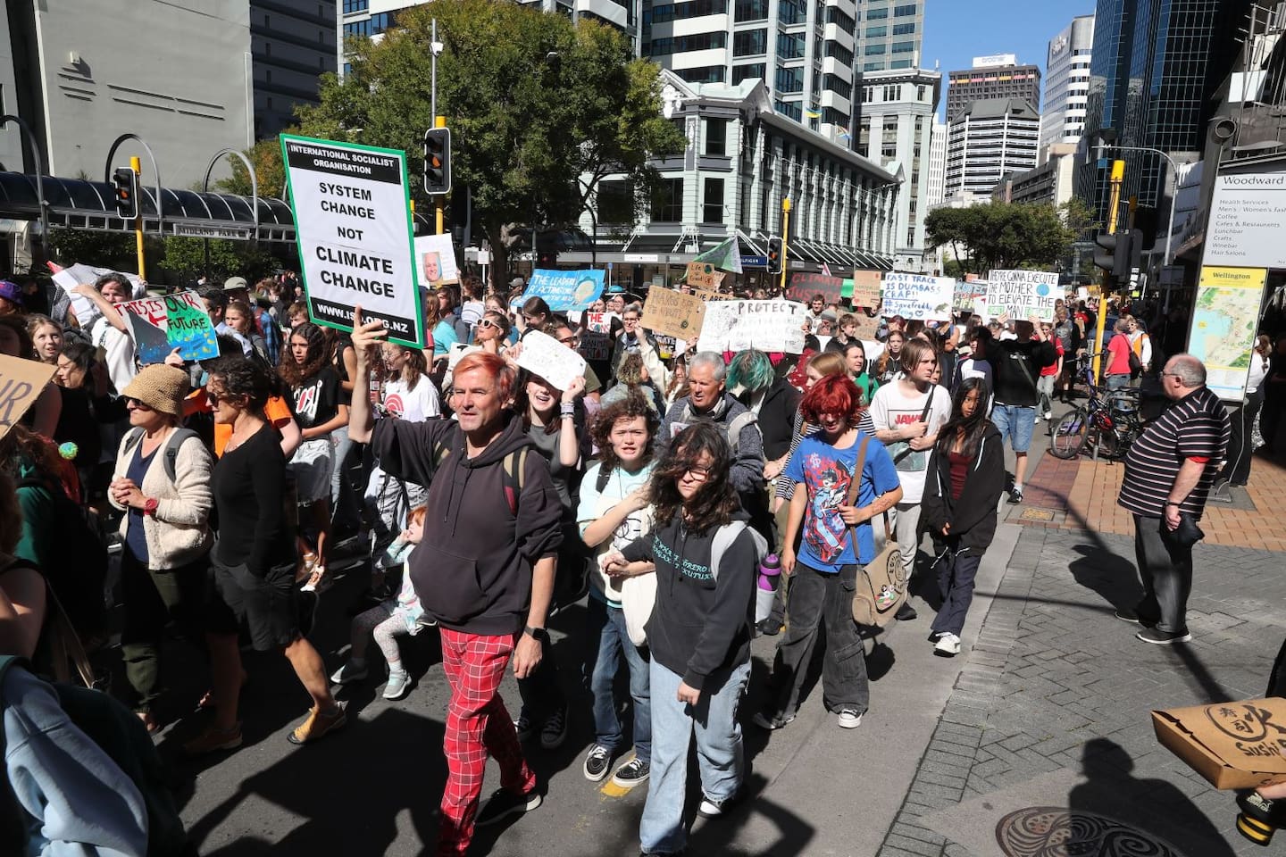 Hundreds of students march to Parliament. Photo / Mark Mitchell