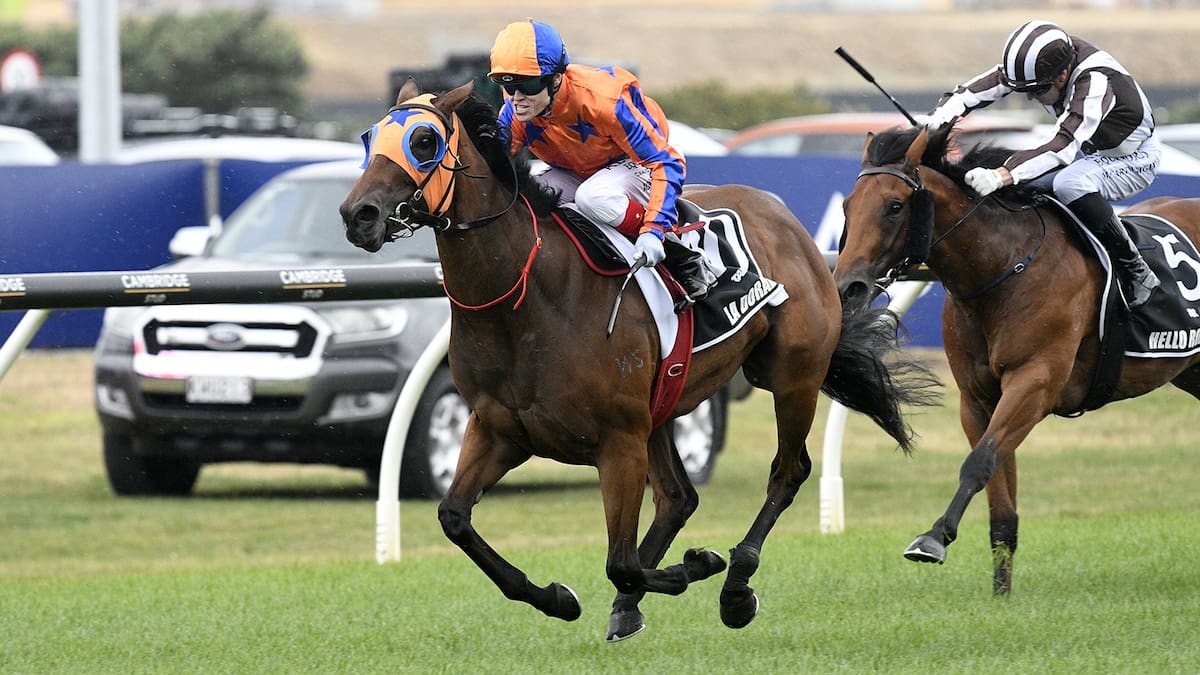 Karaka Millions: Te Akau takes out mega money double at Ellerslie Karaka Millions: Te Akau takes out mega money double at Ellerslie