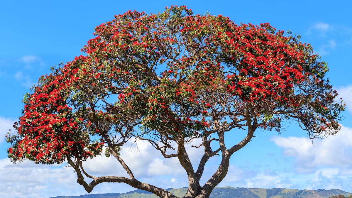 Planning an outdoor adventure? How being in nature inproves health and mood Planning an outdoor adventure? How being in nature inproves health and mood