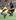New Zealand's Sitiveni Sivivatu is caught by Australia's Lachie Turner during their Bledisloe Cup/Tri-Nations test in Sydney. Photo / AP