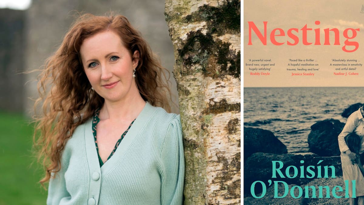 Book of the day: Nesting by Roisín O’Donnell - NZ Herald