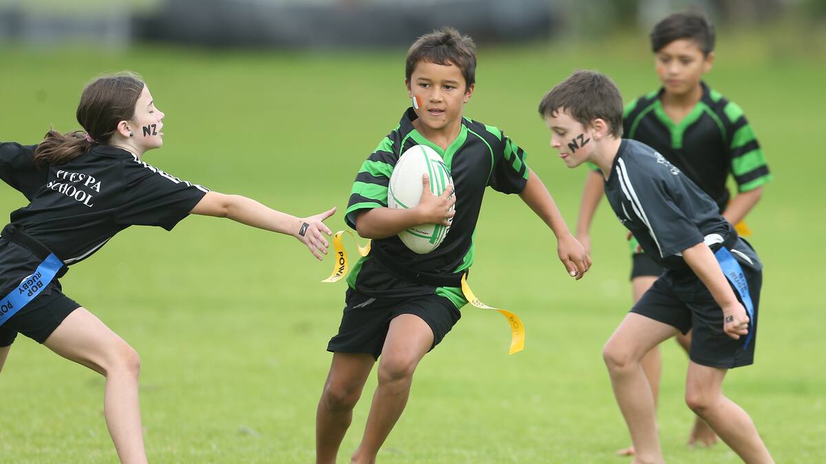 Rippa Rugby World Cups to kick off across the Bay - NZ Herald