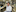 ESR virologist Dr Sue Huang. Photo/Mark Mitchell
