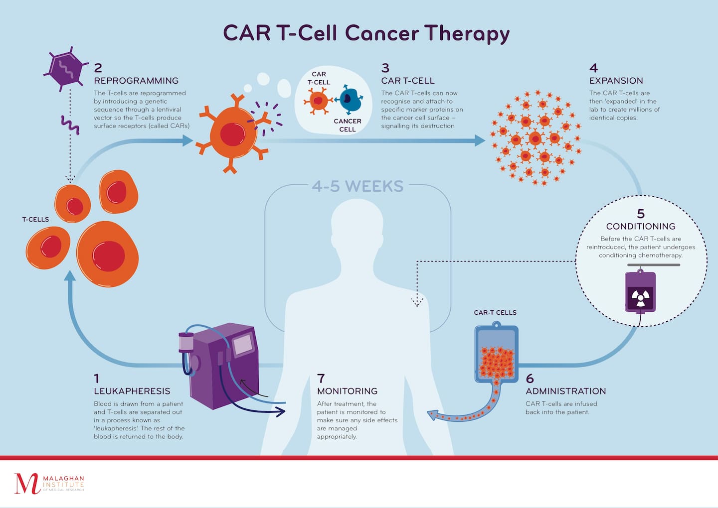 Source / Malaghan Institute