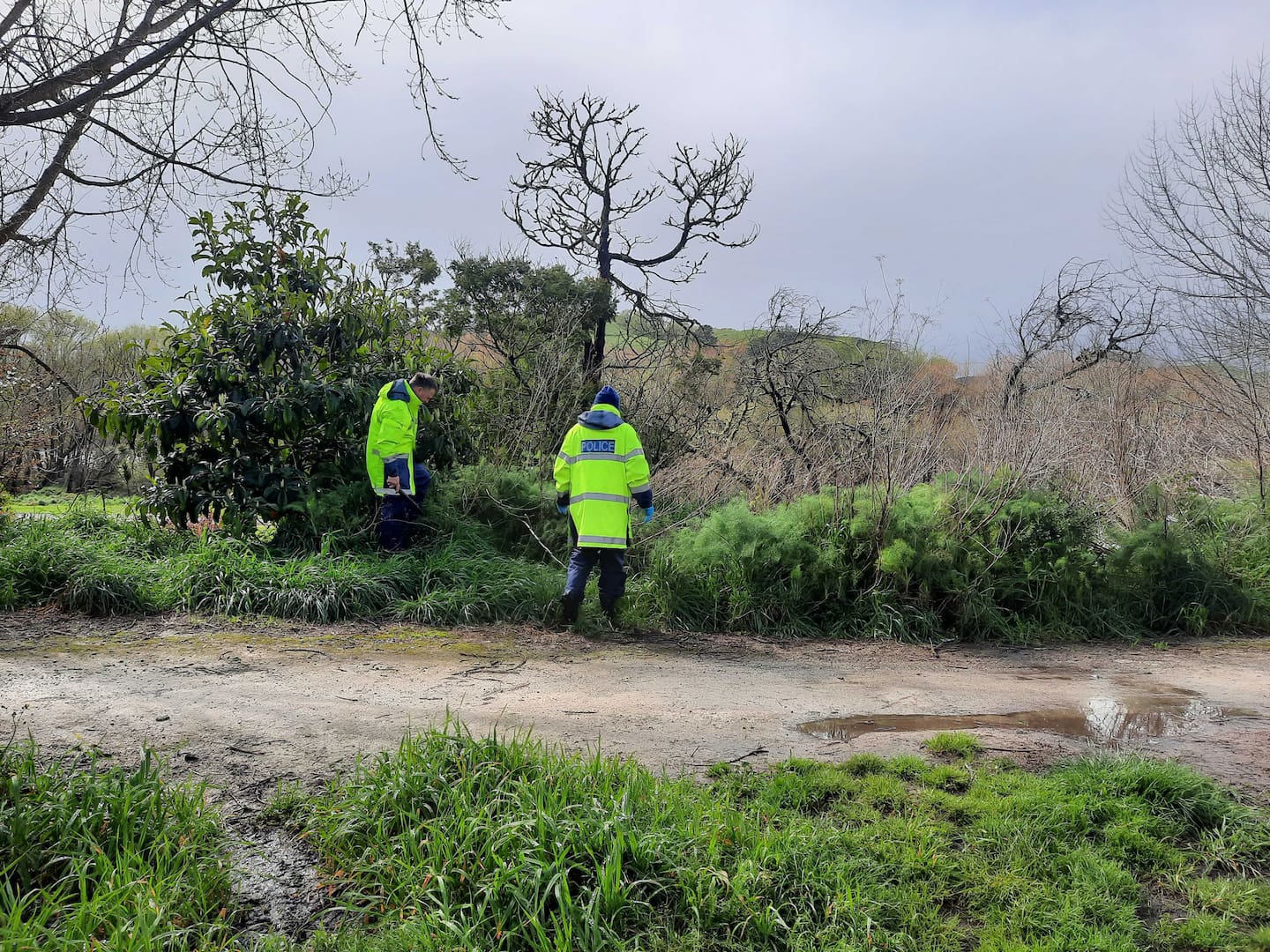 Police officers scour bush at the River Road Recreational Reserve. Photo / Neil Reid