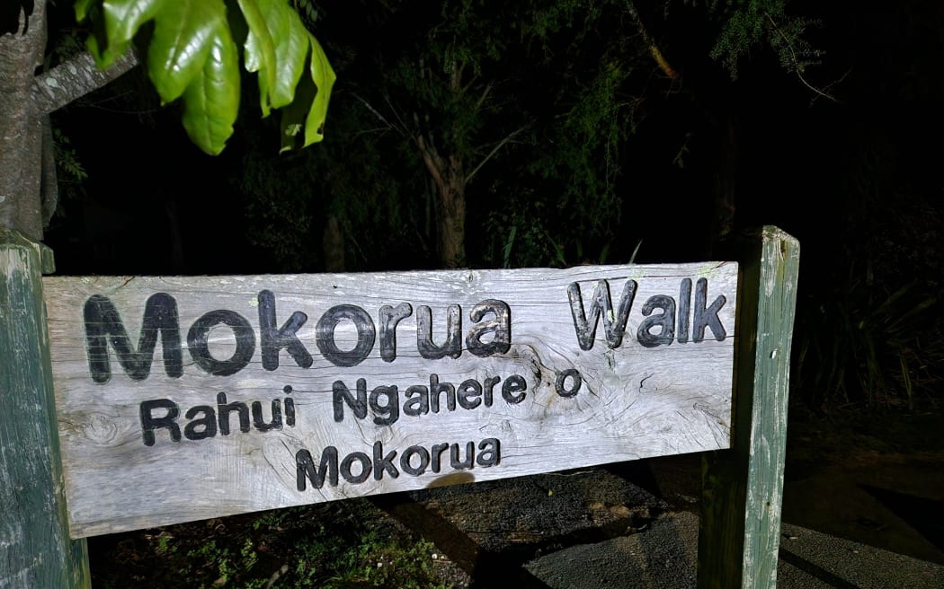 The start of the Mokorua Walk on the outskirts of Whakatāne. Photo / Sally Round, RNZ