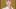 Diana, the Princess of Wales doll