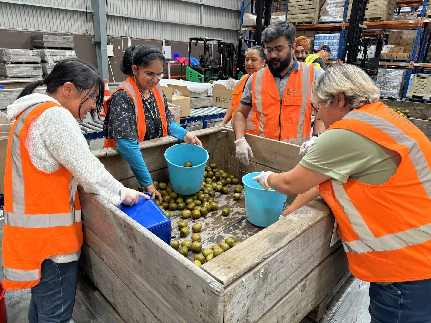 T&G volunteers sorting rescued kiwifruit at New Zealand Food Network. Photo / NZ Food Network