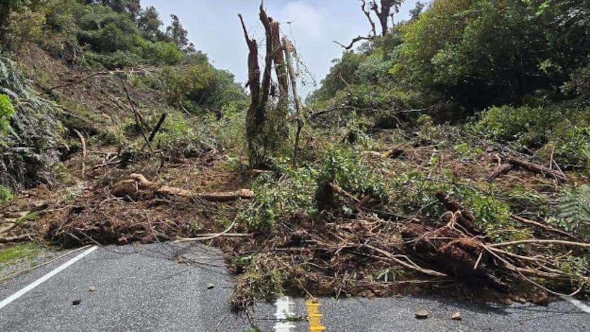 Clean-up underway after record-breaking deluge in Westland Clean-up underway after record-breaking deluge in Westland