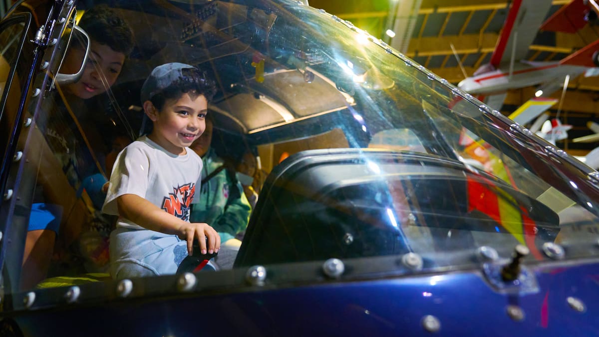 What to do in Auckland this weekend: Art contests, baby shows and family fun