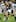 Midfield: Tamati Ellison, Wellington, 0 caps. Photo / Getty Images