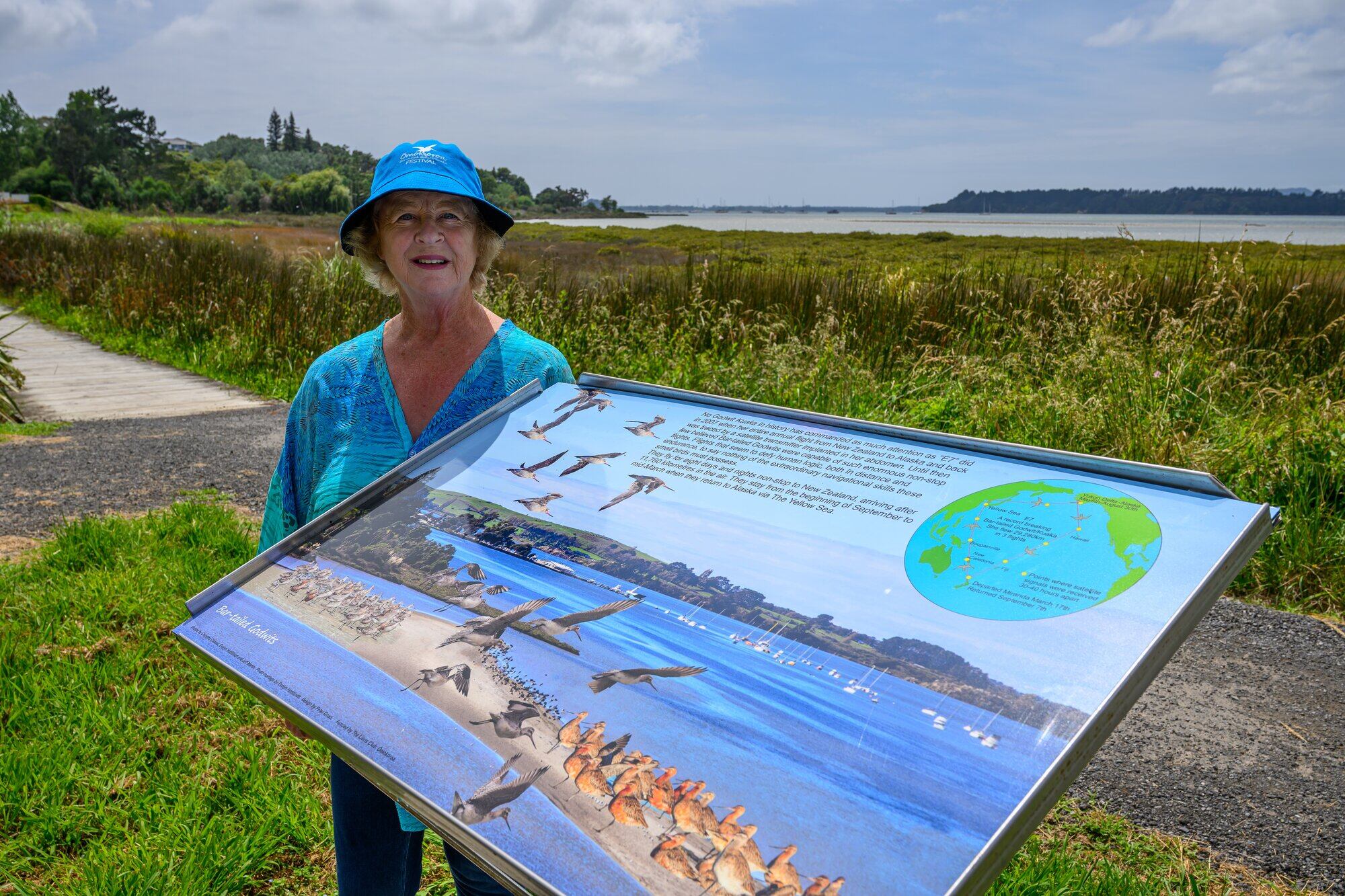  Bar-tailed Godwit Festival founder Christina Cleaver with an information panel at Cooney Reserve, Ōmokoroa. Photo / David Hall