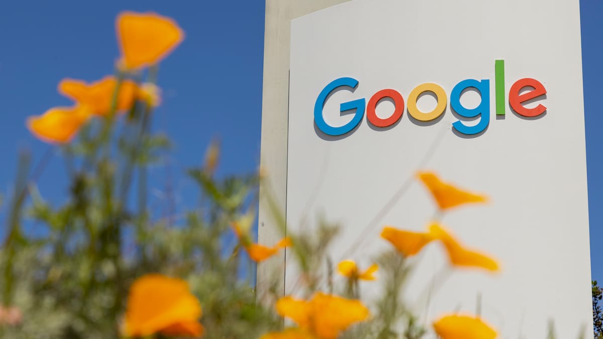 Tech Insider: Wellington man gets shock k bill after using a Google AI-ready tool Tech Insider: Wellington man gets shock k bill after using a Google AI-ready tool
