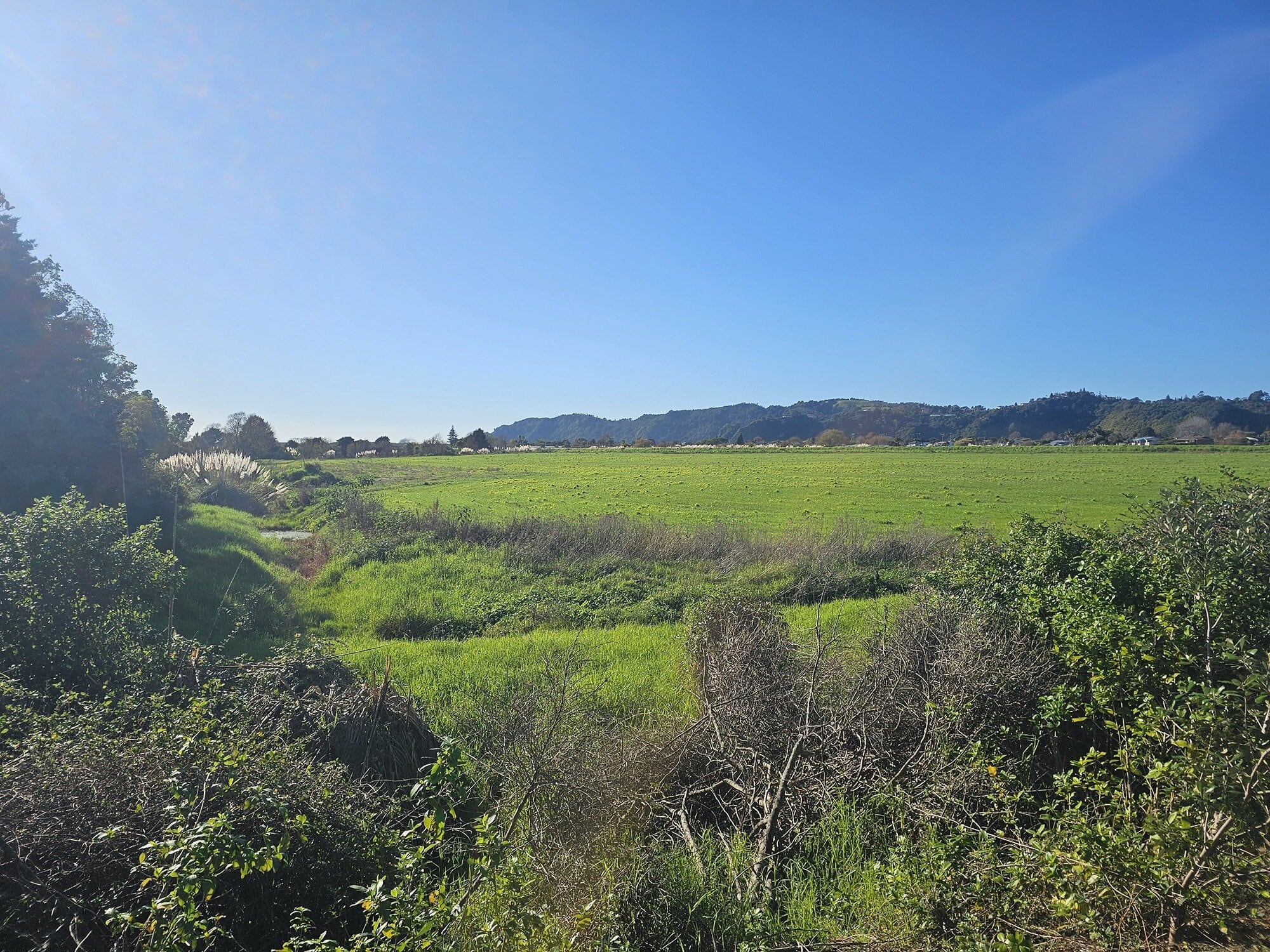  The former industrial landfill site on Keepa Road belonging to Te Rāhui Land Trust was once destined to be a boat harbour. Photo / LDR