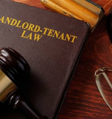 Dunedin Woman Who Wrote Complaints As Poems On Her Walls Has Tenancy Tribunal Claims Rejected Nz Herald
