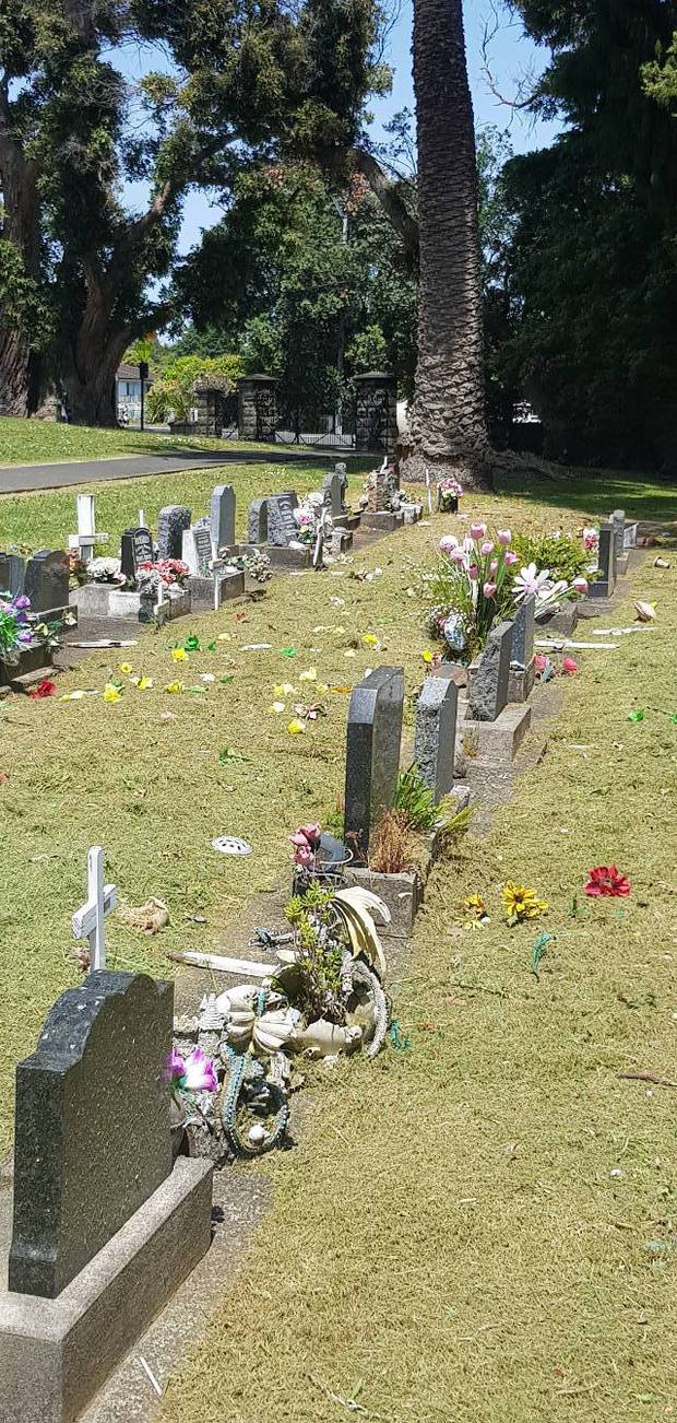 Buchanan believes that the Auckland Council maintenance crew had left the mess behind as the grass was freshly mowed and she found shredded flowers under grass clippings. Photo / Korenna Buchanan 