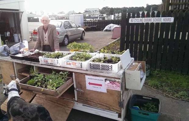 Gordon Proctor's seedling enterprise. Photo / Supplied. 