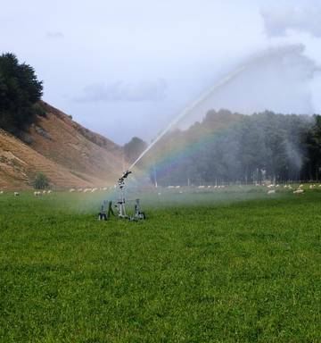 Irrigation Pays Dividends For Polson Farm In Mangamahu Nz